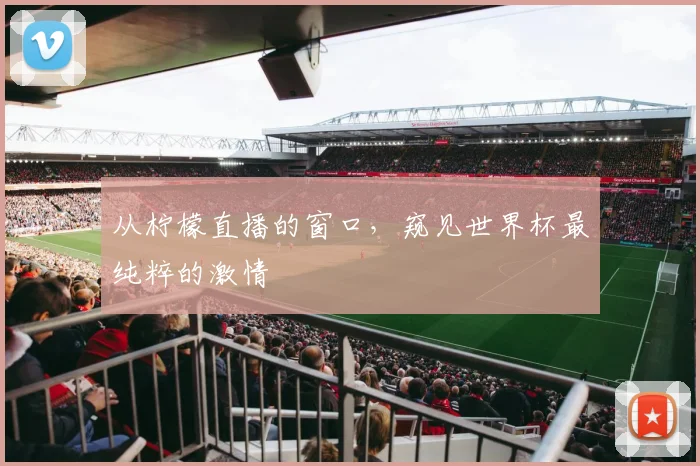 从柠檬直播的窗口，窥见世界杯最纯粹的激情