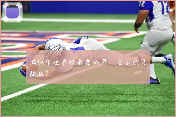 揭秘印世界杯彩票公司:合法还是骗局?