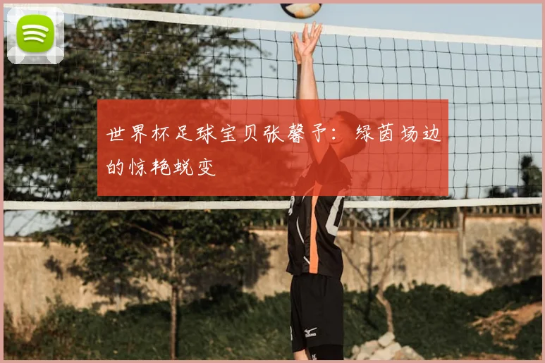 世界杯足球宝贝张馨予:绿茵场边的惊艳蜕变