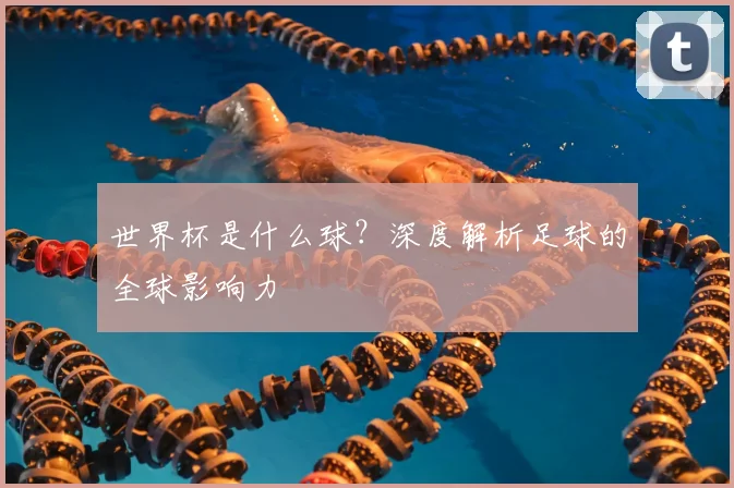 世界杯是什么球？深度解析足球的全球影响力