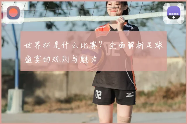 世界杯是什么比赛？全面解析足球盛宴的规则与魅力