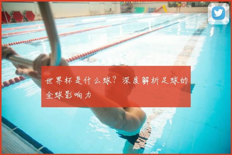 世界杯是什么球？深度解析足球的全球影响力