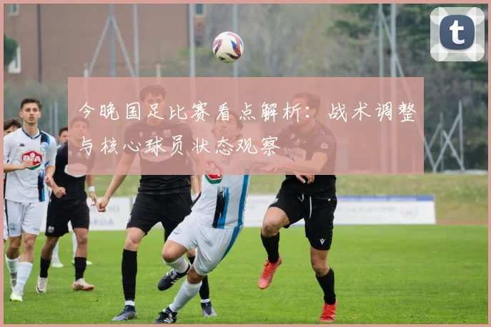今晚国足比赛看点解析:战术调整与核心球员状态观察