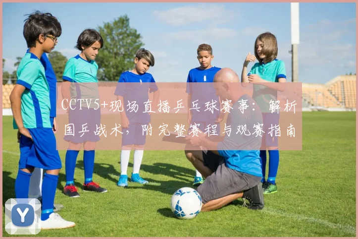 CCTV5+现场直播乒乓球赛事：解析国乒战术，附完整赛程与观赛指南