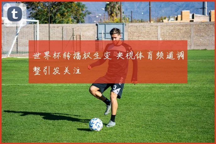 世界杯转播权生变 央视体育频道调整引发关注