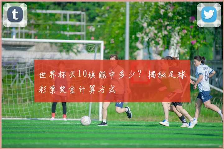 世界杯买10块能中多少？揭秘足球彩票奖金计算方式
